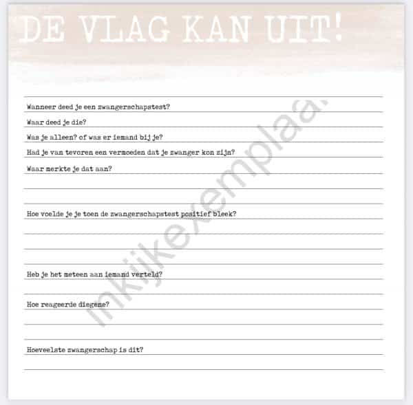 Zwangerschaps invulboek - Afbeelding 4