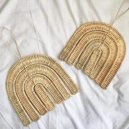 Rotan regenboogje