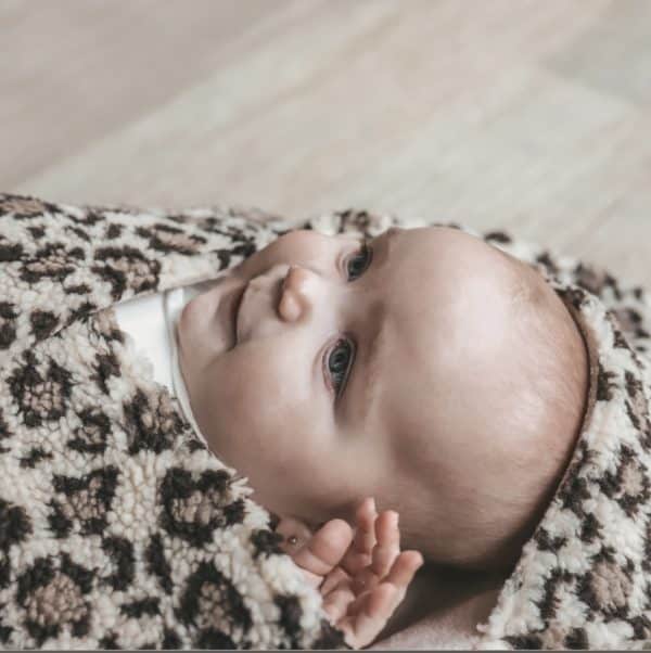 TEDDY LEOPARD | NOELLA - Afbeelding 2