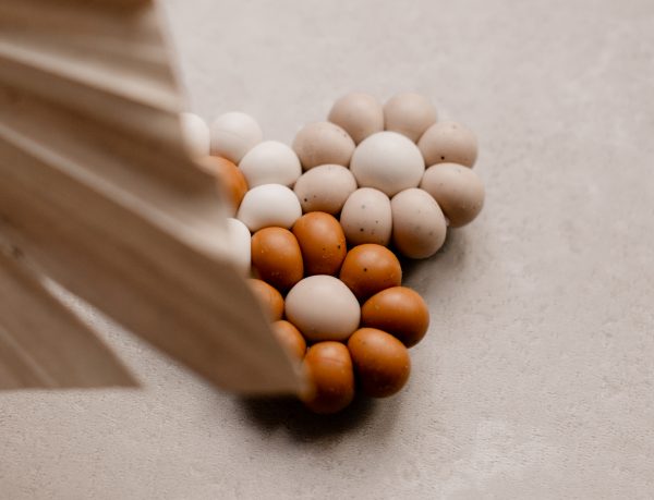Bijtring daisy roest - Afbeelding 3