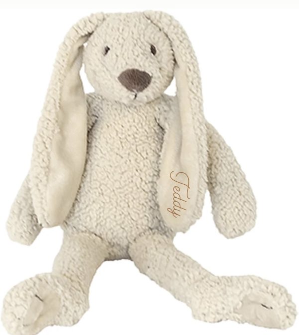Tiny teddy Rabbit Richie